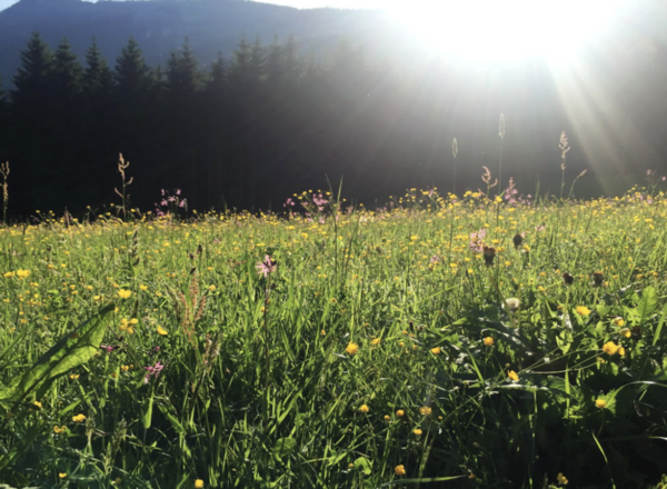 L E O - Dein Retreat für wirkliche Auszeit