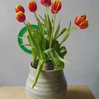 Gallery Foto