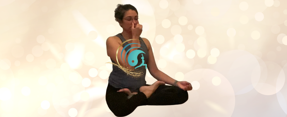 Rani's Essentials Basic Yogakurs - Montag 19:00 - 20:30