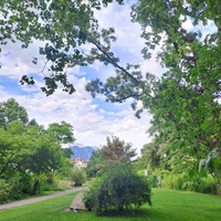 Gallery Foto