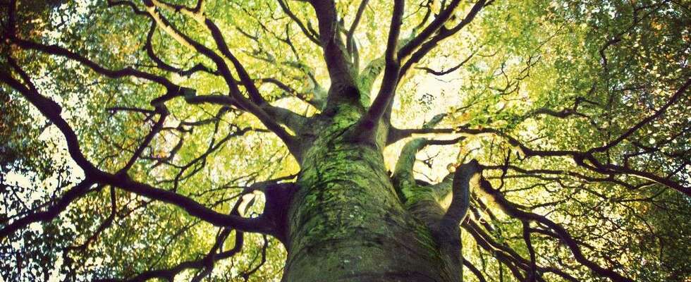 Psychologische Praxis