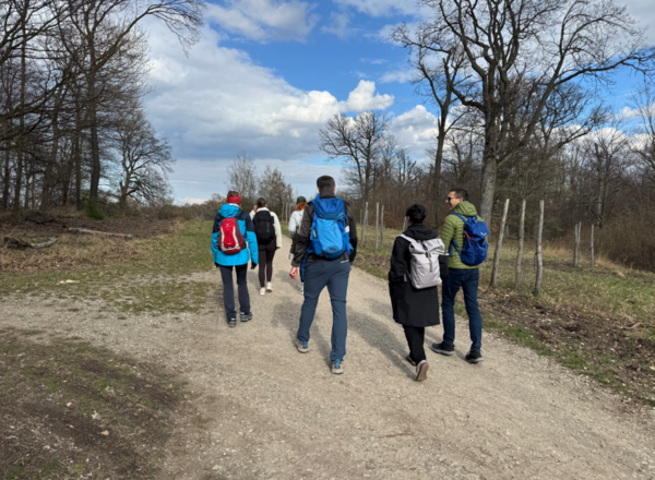Coaching Gruppenwanderung im Lainzer Tiergarten