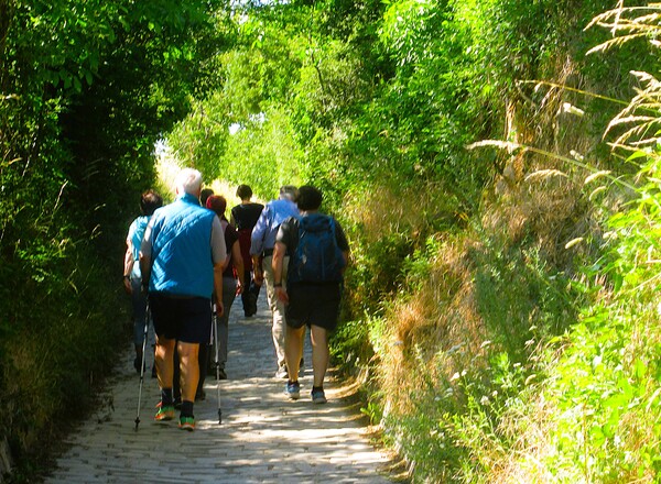 Komm zum Wiener Weinwandertag und merke dir vor!