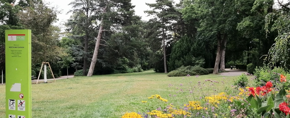 Baum & Herz im Wertheimsteinpark