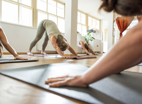 6wöchiger YogaGrundkurs