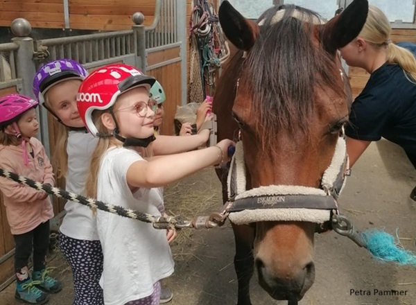 Pony Nachmittag für Kids von 4 - 8 Jahren