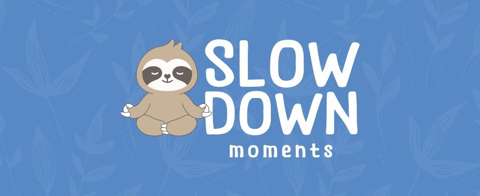 Slowdown Moments
