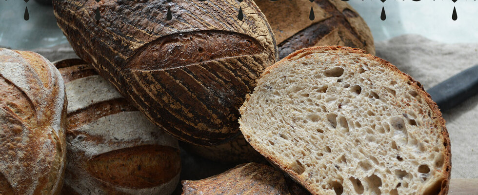 KOSTBROT Backworkshop