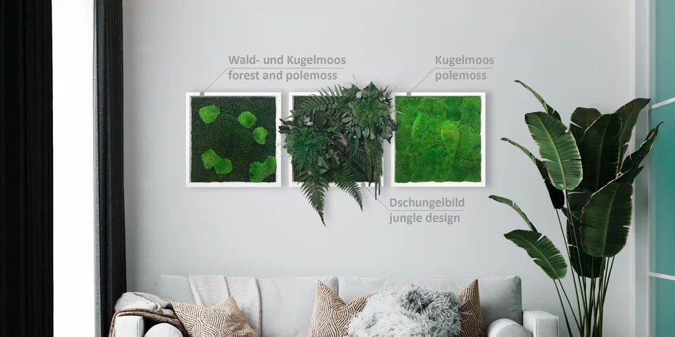 ingreen - Pflanzen- und Moosbilder - 100% Natur & keine Pflege! – Foto 1