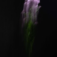 Gallery Foto