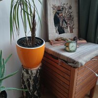 Gallery Foto