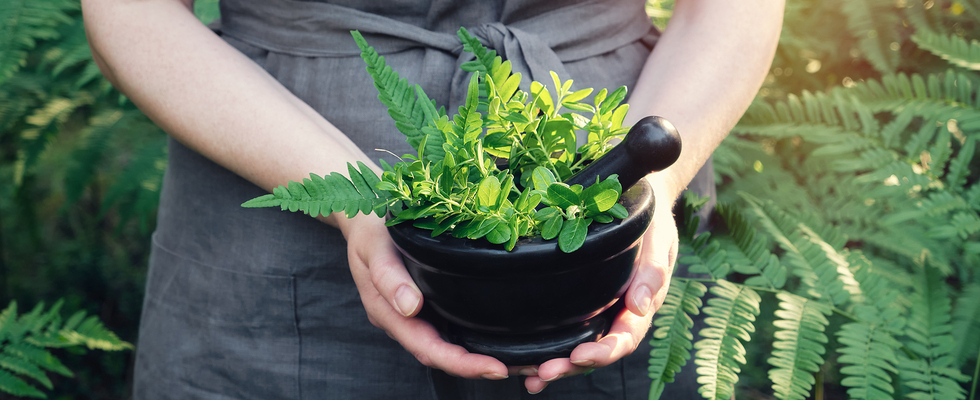 Kräuterworkshop "Frauenpower durch heimische 🌱 Kräuter"