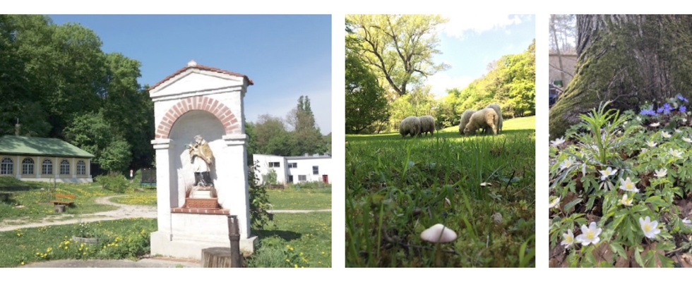 'Der Kalksburger Park und seine Schätze' – Erkundungen in Natur und Geschichte(n)