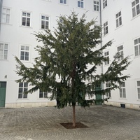 Gallery Foto