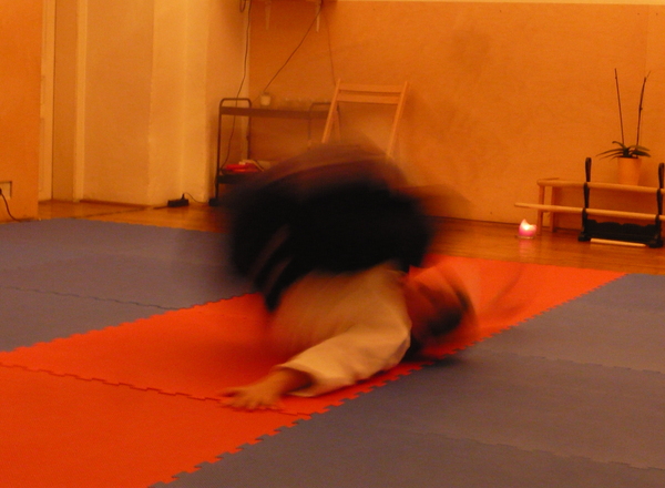 AIKIDO Herbsttraining mit Claudia Heu (AT)