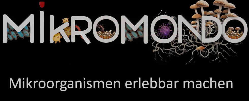 MikroMondo