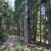 Gallery Foto