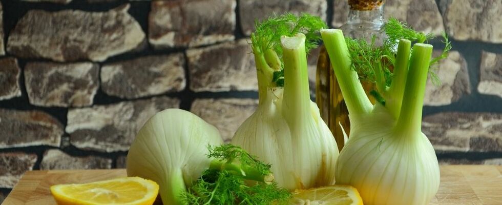 „Cool bleiben“ Dein Ayurveda Sommer – Workshop mit Ruth