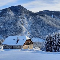 Gallery Foto
