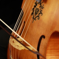 Gallery Foto
