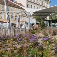 Gallery Foto