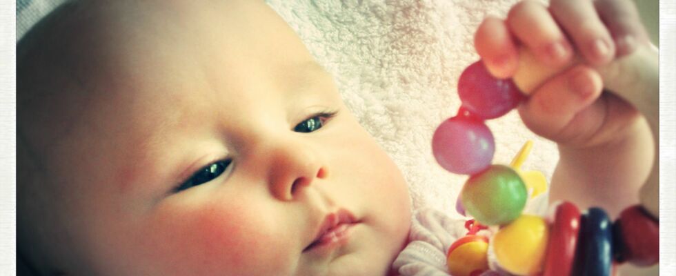 Pikler BabyRaum