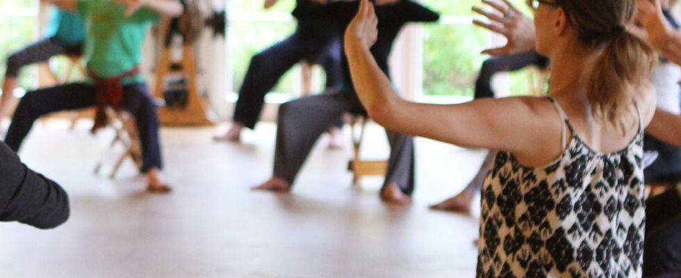 GYROKINESIS® - dynamisches Yoga und Atmen