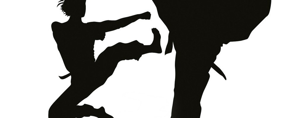 Capoeira für Kinder (6-10 Jahre) - Kurs im Freien im Andreaspark in Kooperation mit der Bezirksvorstehung – im Rahmen des Kindersommers Neubau