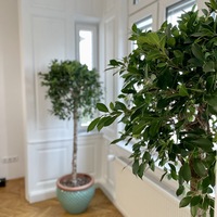 Gallery Foto