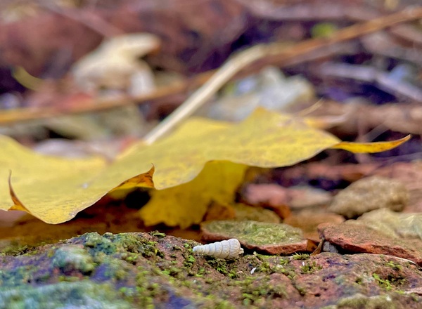 Der innere Blick - Workshop