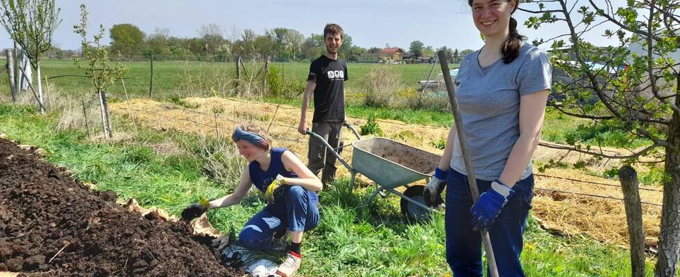 Solidarische Landwirtschaft Ouvertura