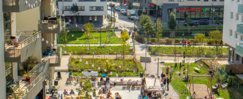 Pflanzentag im Sonnwendviertel [Grätzel:Grün]
