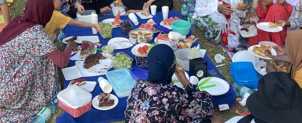 Diversoviel Picknick auf der Jesuitenwiese