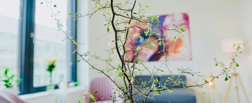 Vermiete Räumlichkeiten im Ärztezentrum Klinik Floridsdorf