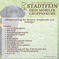 Gallery Foto