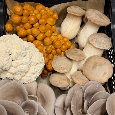 #<CrowdReward:0x00007f205d1f0160>