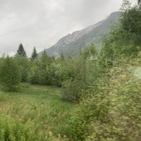 Gallery Foto