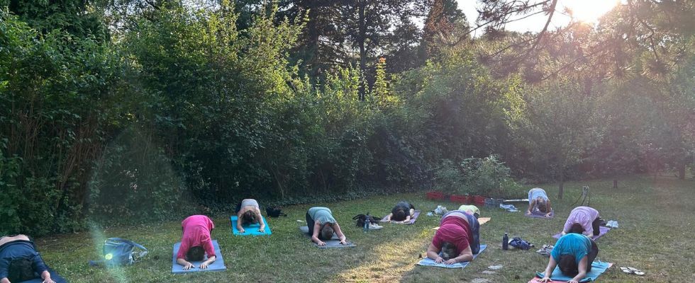 Sommeryoga im Garten ☀️ - Firmiangasse im Juli & August