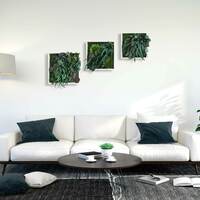 Gallery Foto
