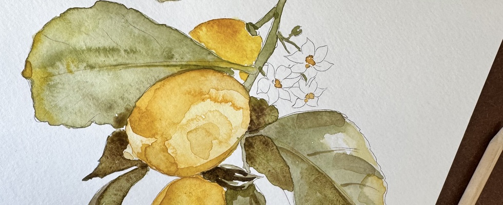 Sip & Paint- Aquarell Workshop 