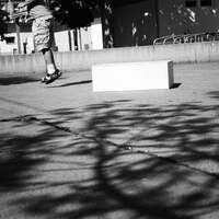 Gallery Foto