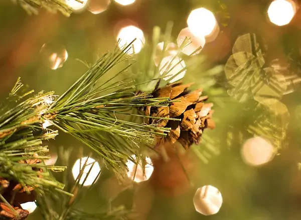 Friedas Krippenspiel & Kinder-Weihnachtsfeier
