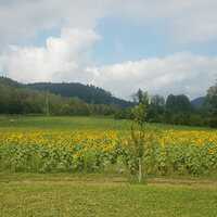 Gallery Foto