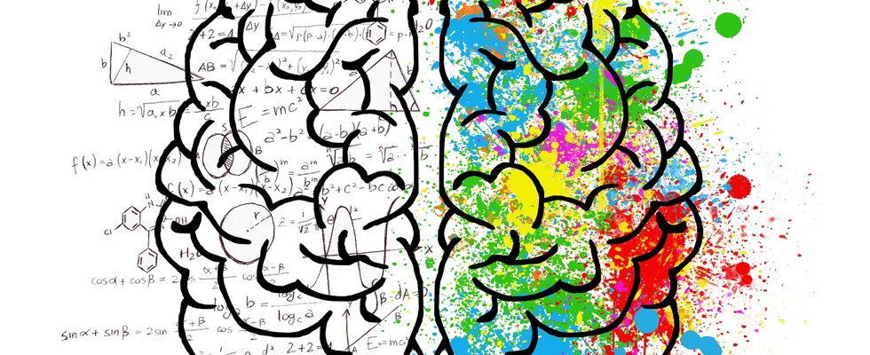 Brain Gym® Kinesiologie Basiskursserie 17.10. - 06.12.2026