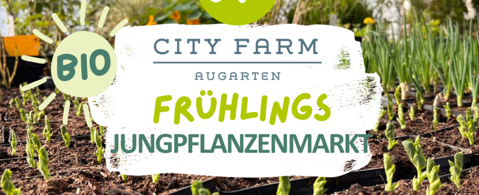Bio Frühlingsjungpflanzenmarkt 