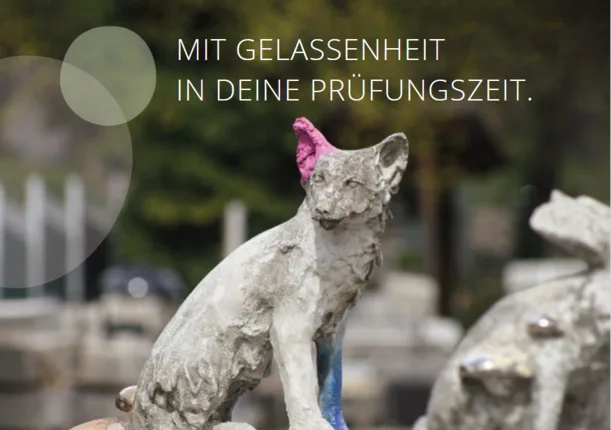 Mentaltraining in Leistungssituationen & Entspannungskurse zur Stressbewältigung – Foto 4