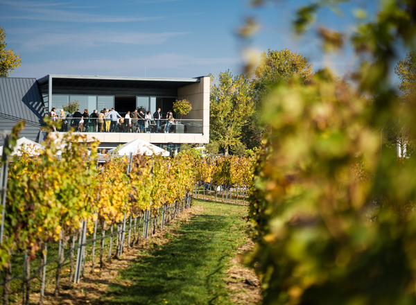 Share this event Leithaberg und mehr: Ein Abend mit dem Weingut Esterházy