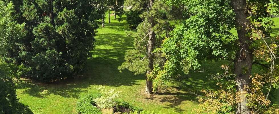 InVitality Center Wien