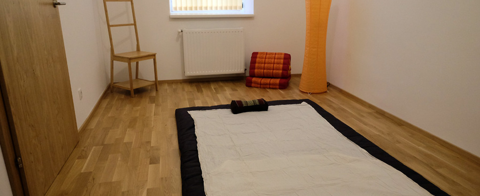 Vermiete ruhige Praxisräume im 6.Bezirk gegenüber U4 Station Pilgramgasse, Erdgeschoß, Altbau