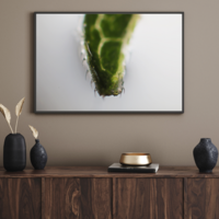 Gallery Foto